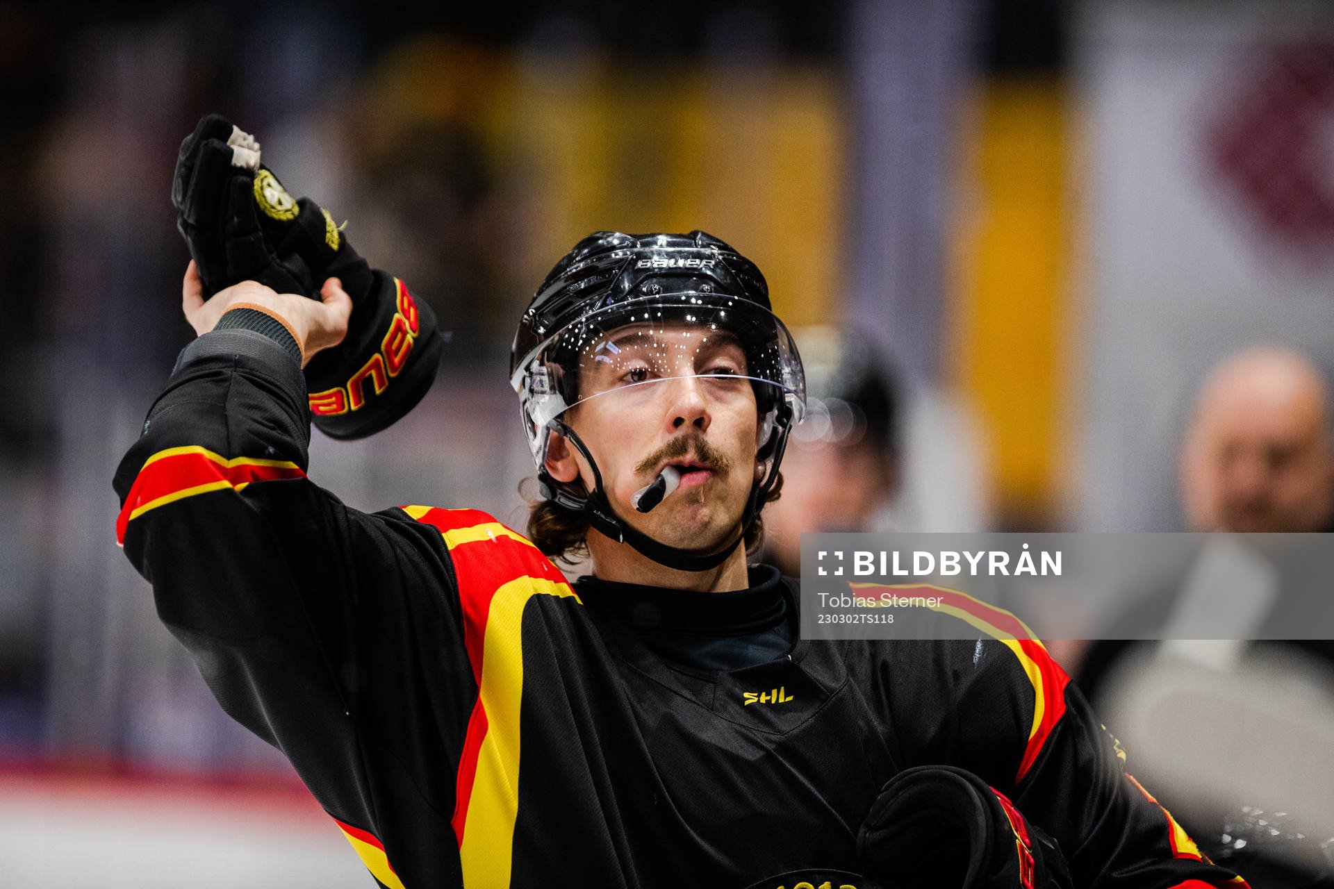 Brynäs Hannes Björninen