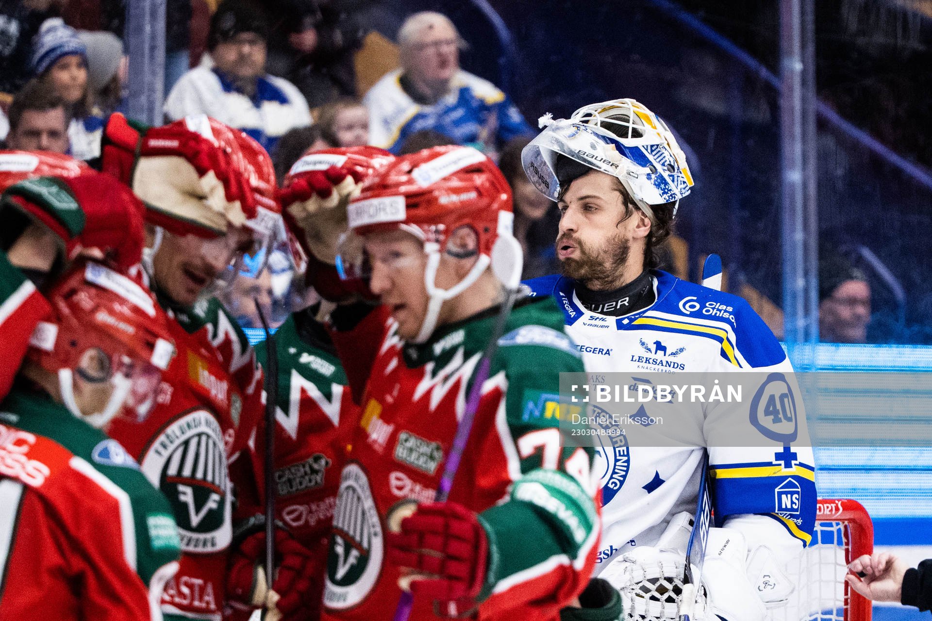 Leksands målvakt Mantas Armalis deppar