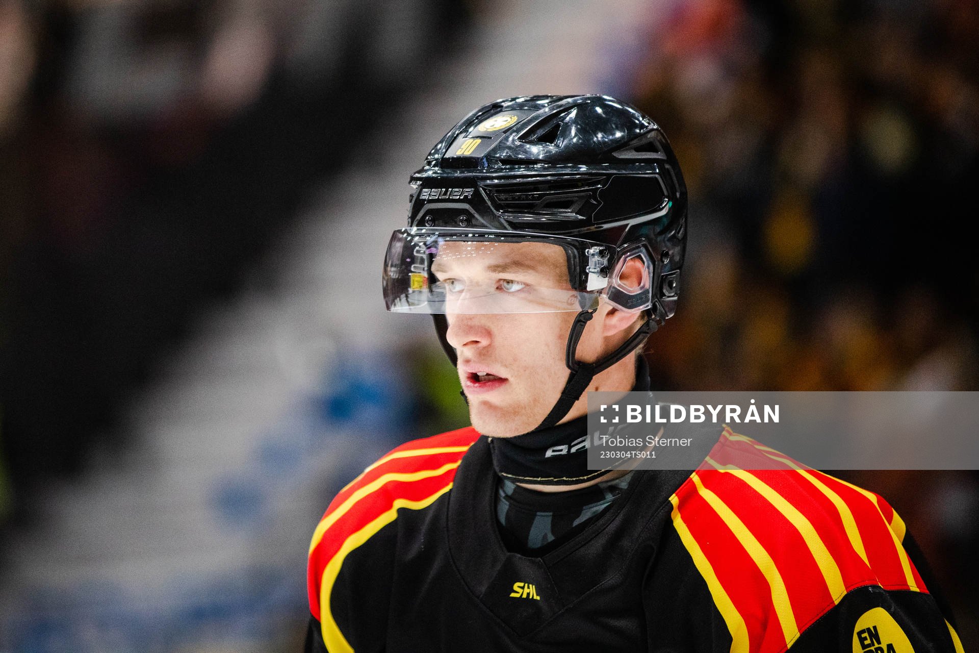 Brynäs David Sklenicka