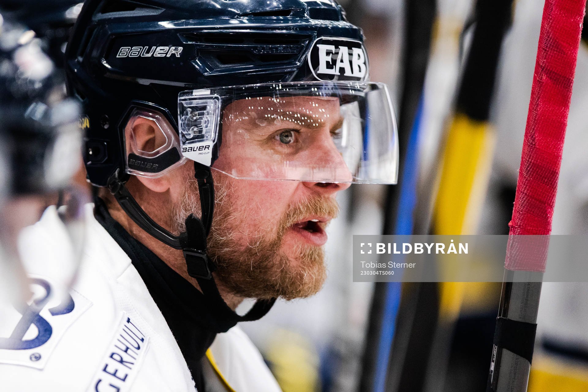 HV71s Nichlas Torp