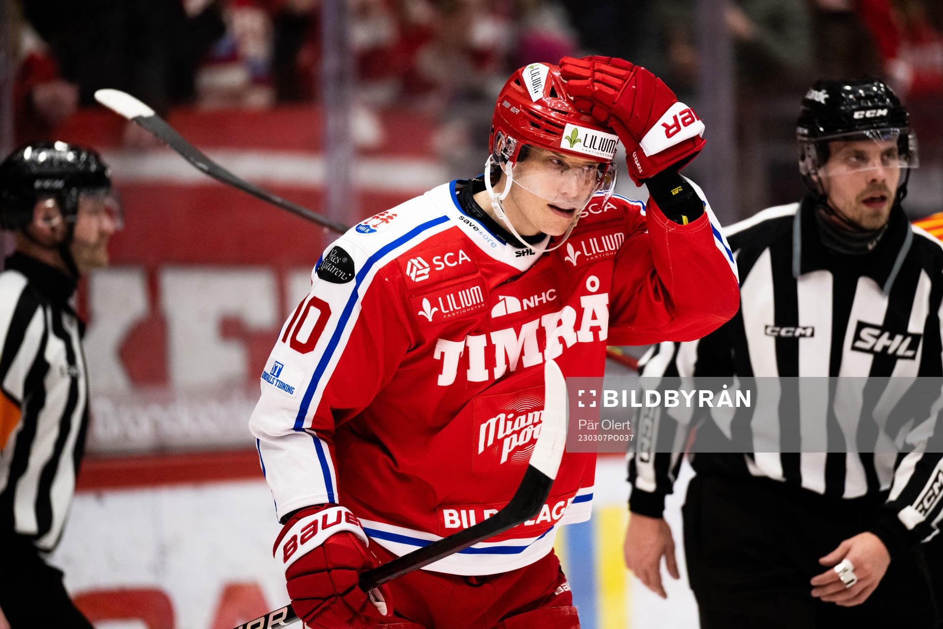 Timrås Robin Alvarez