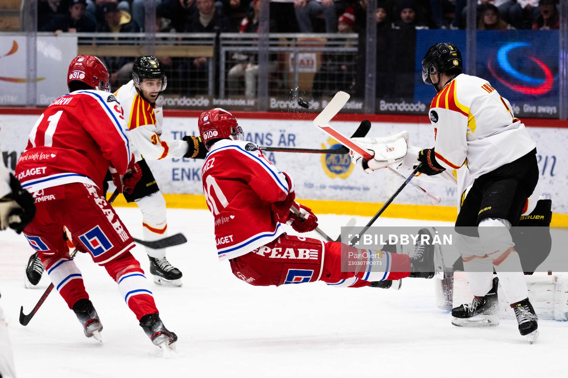 Timrås Robin Alvarez