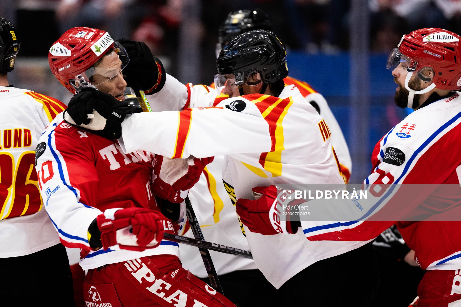 Timrås Robin Alvarez och Brynäs Niklas Friman