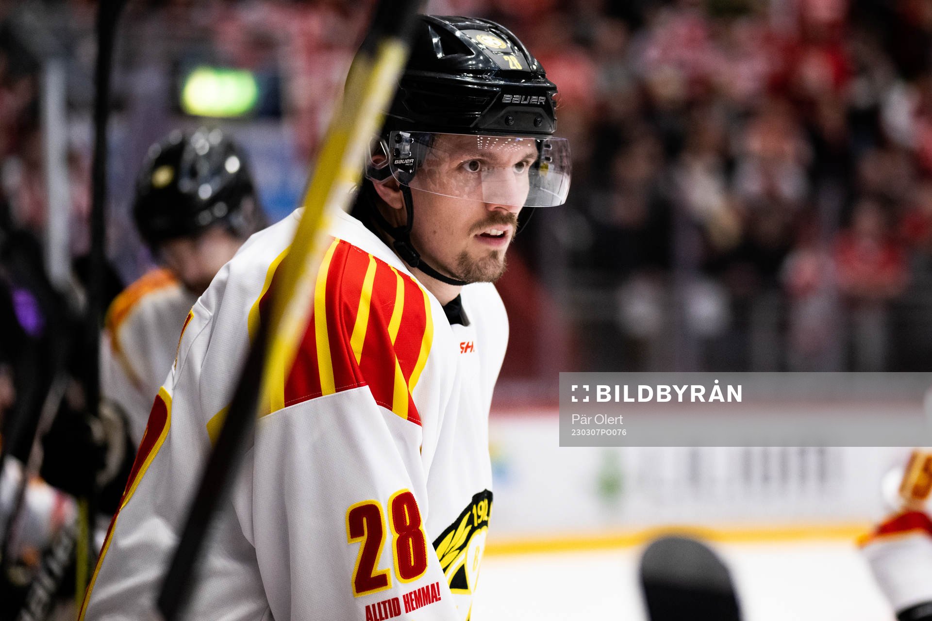 Brynäs Johannes Kinnvall