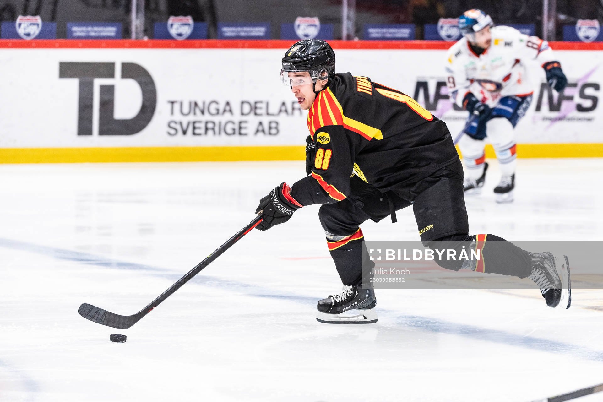 Brynäs Dmytro Timashov