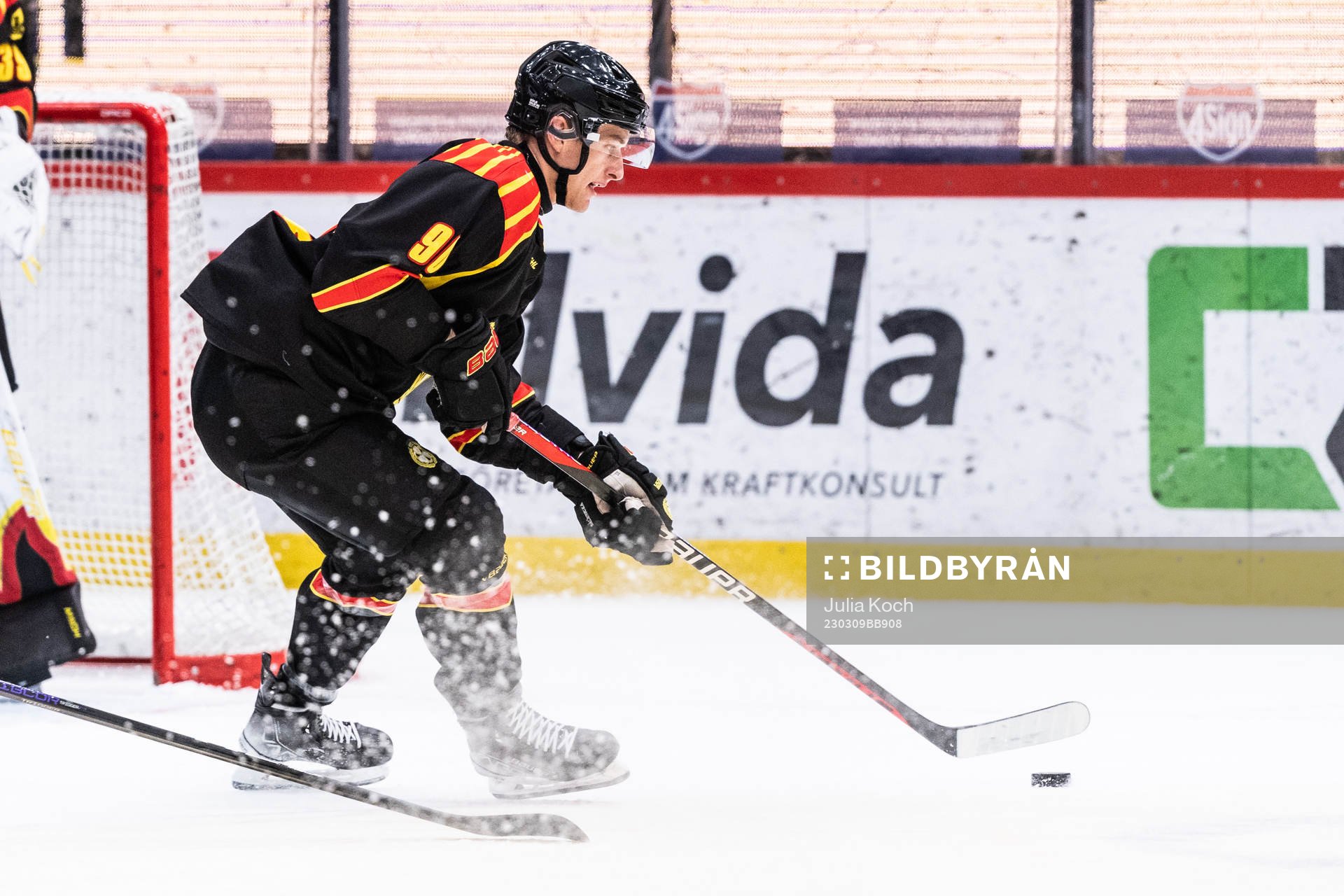 Brynäs David Sklenicka