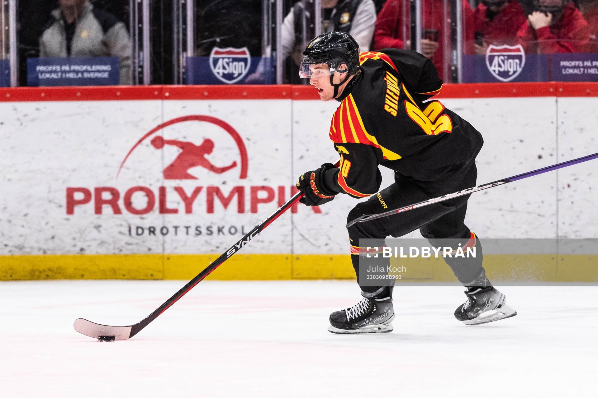 Brynäs David Sklenicka