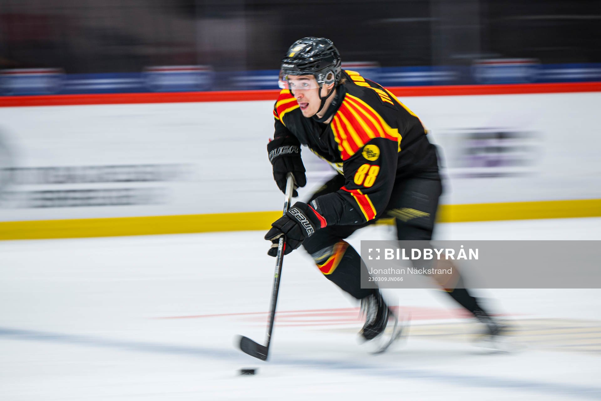 Brynäs Dmytro Timashov