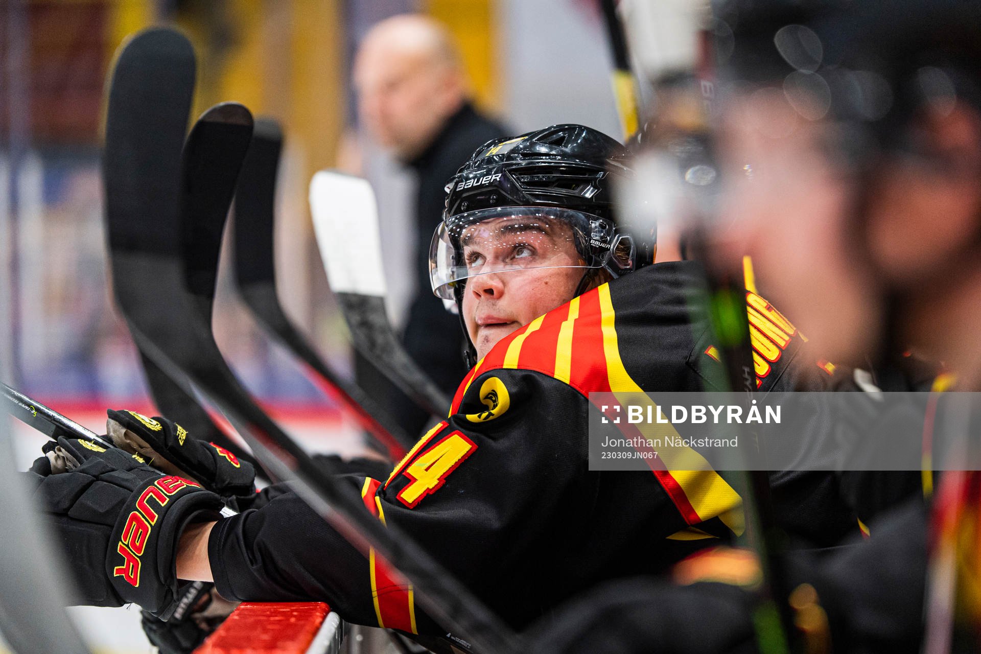 Brynäs Alexander Ljungkrantz