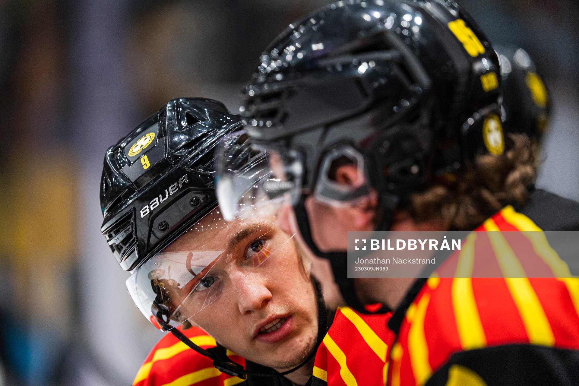 Brynäs William Strömgren