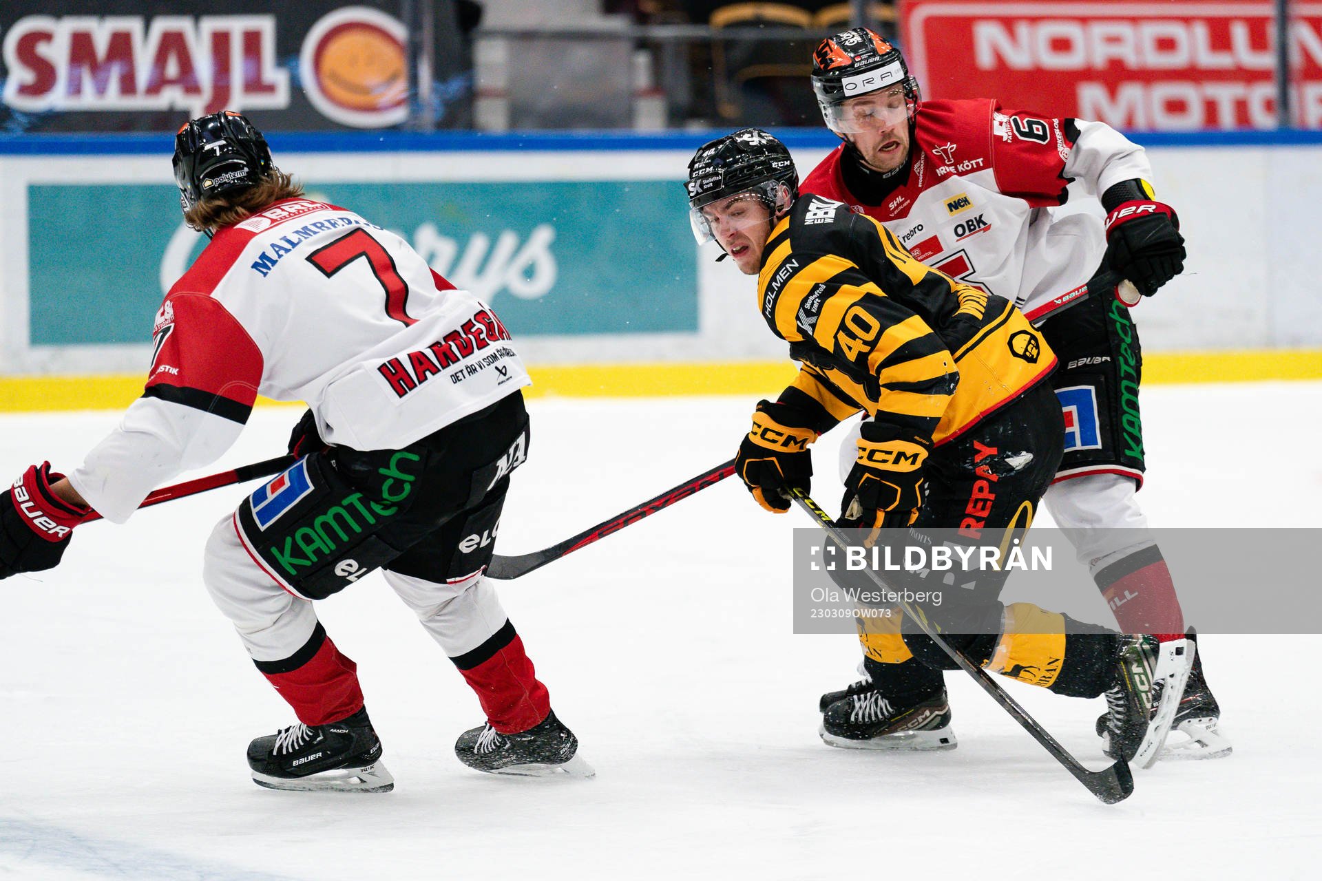 Skellefteås Andreas Wingerli och Örebros Filip Berglund