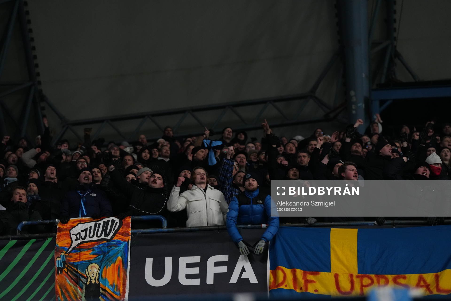 Fans of Djurgården