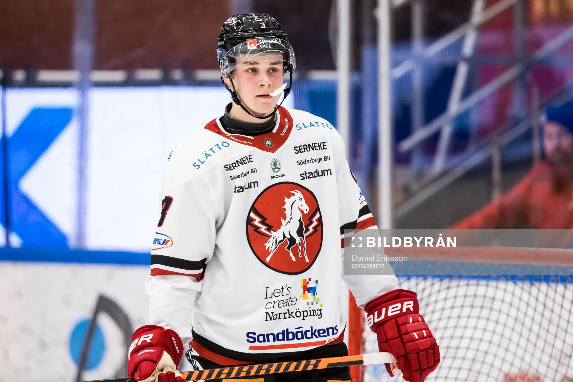 Vita Hästens Filip Wiberg