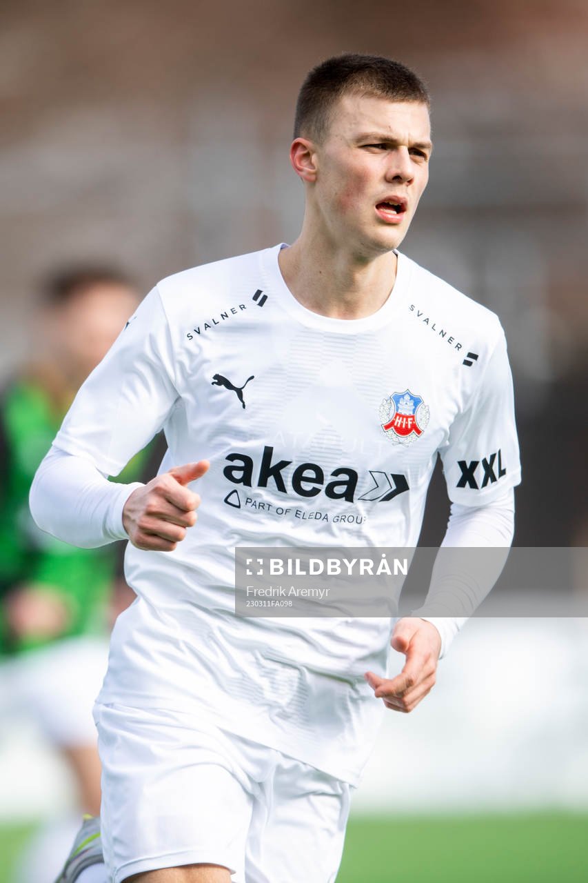 Helsingborgs Erik Ring