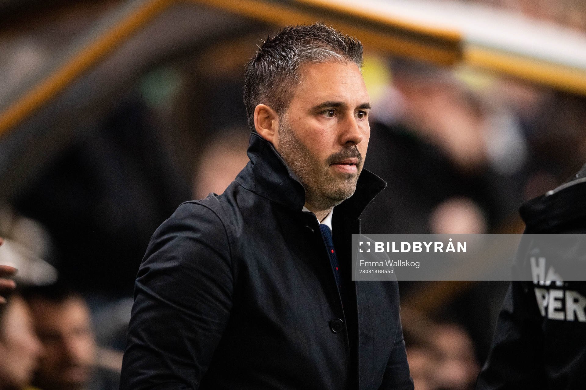 Hammarbys tränare Marti Cifuentes