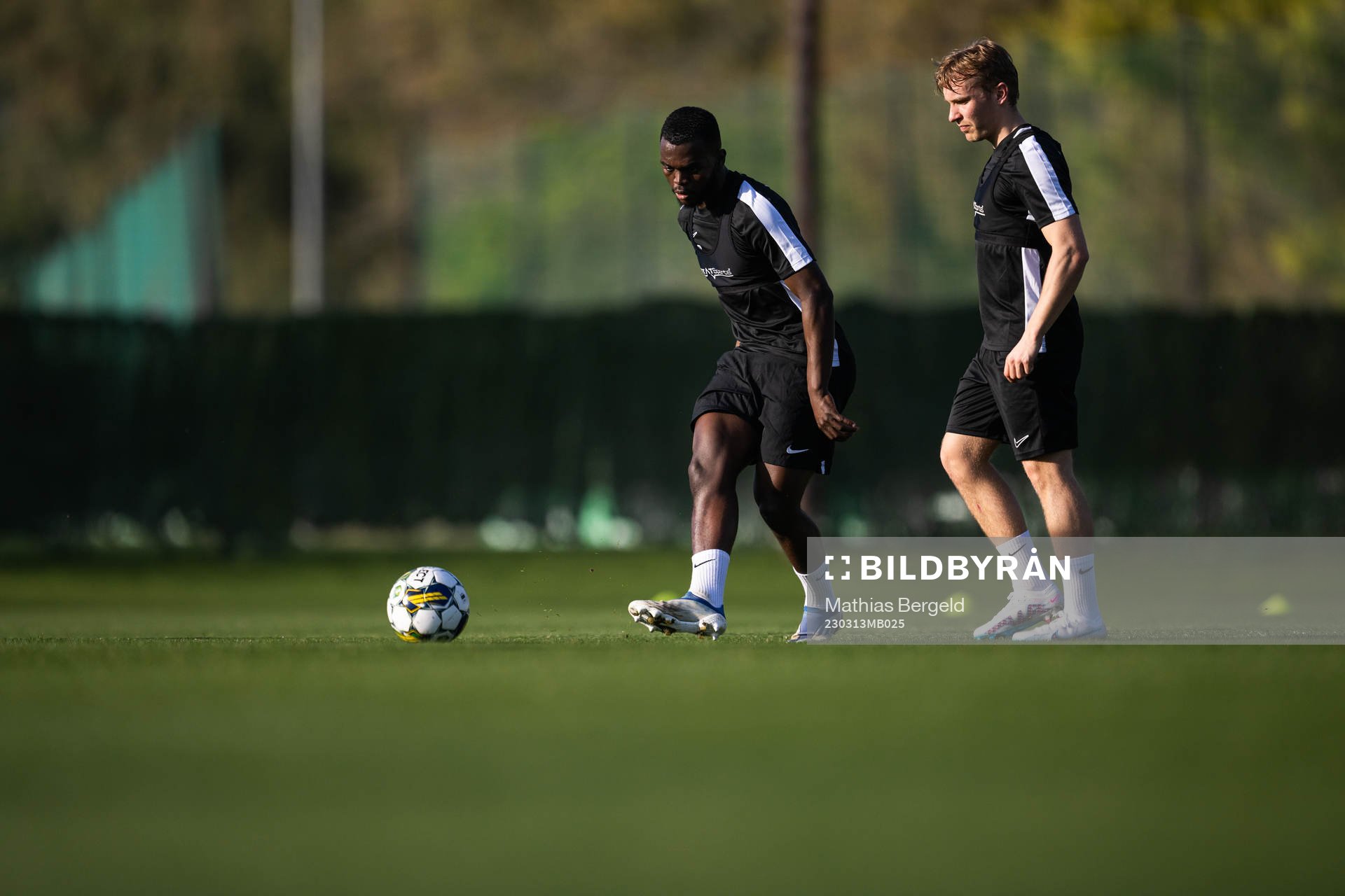 Kofi Asare