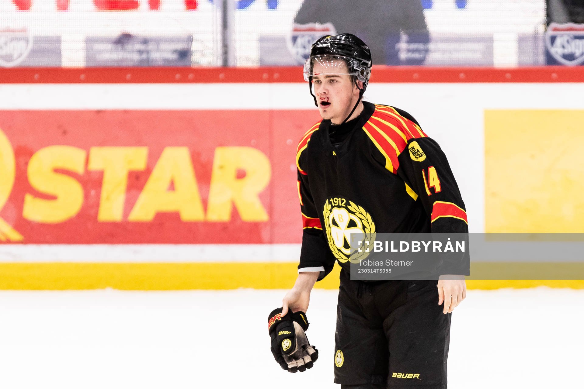 Brynäs Alexander Ljungkrantz blöder