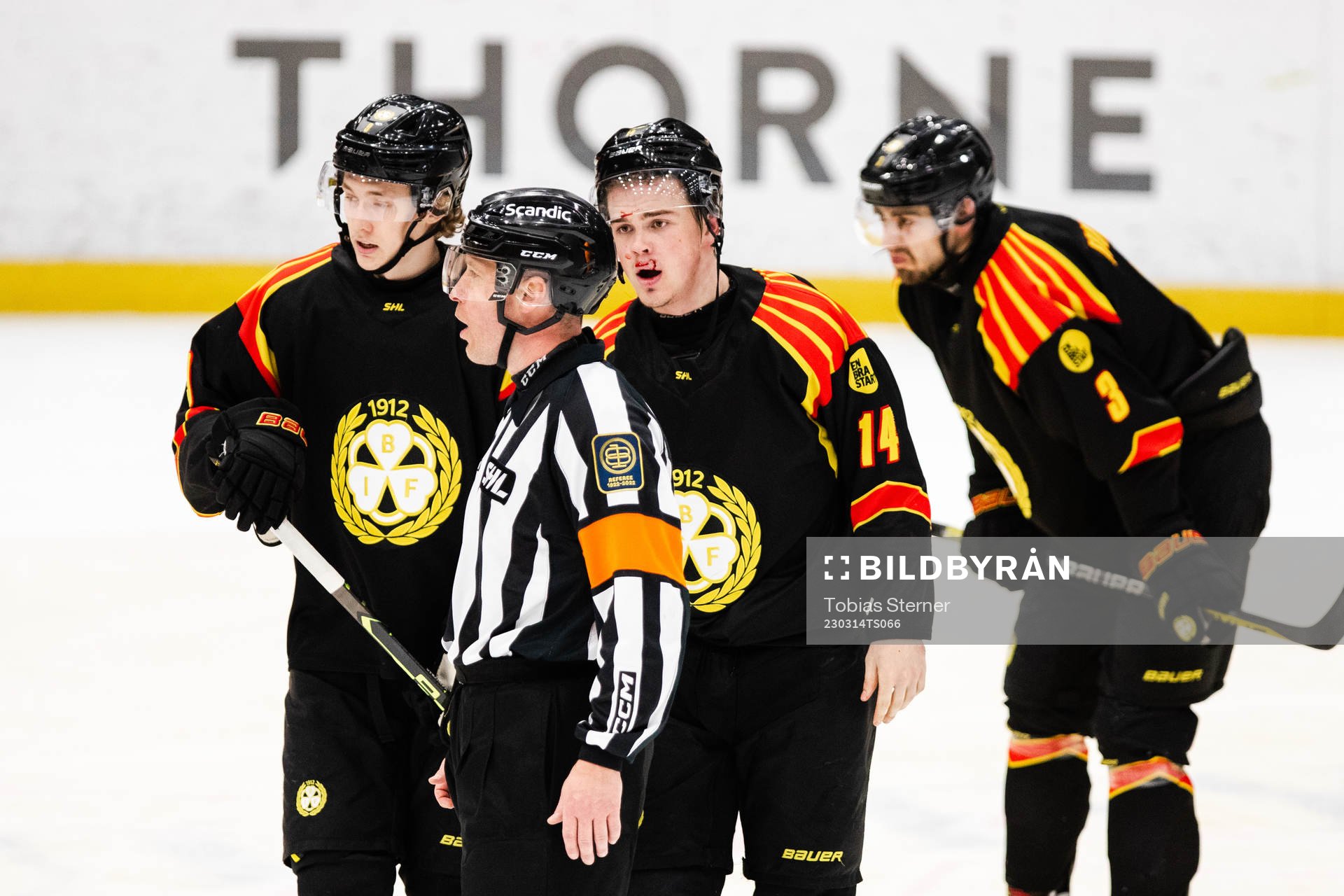 Brynäs Alexander Ljungkrantz blöder