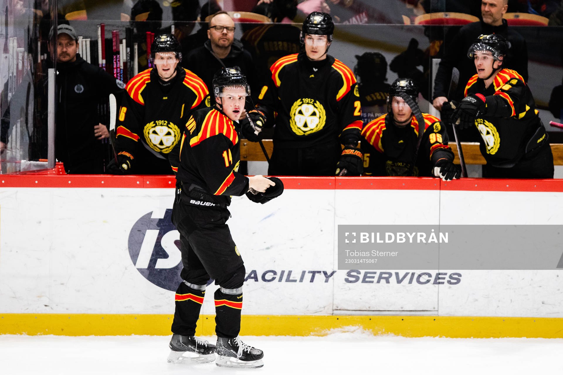 Brynäs Alexander Ljungkrantz blöder