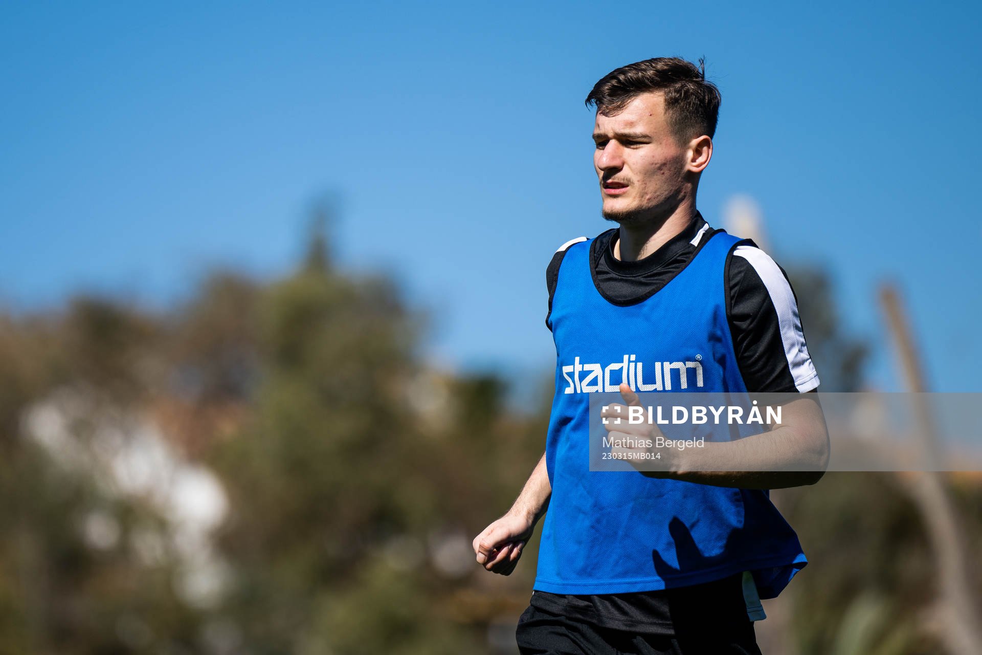 Robin Dzabic