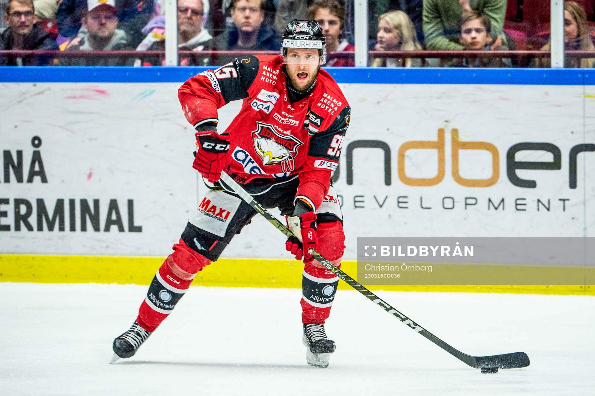 Malmö Redhawks Carl Persson