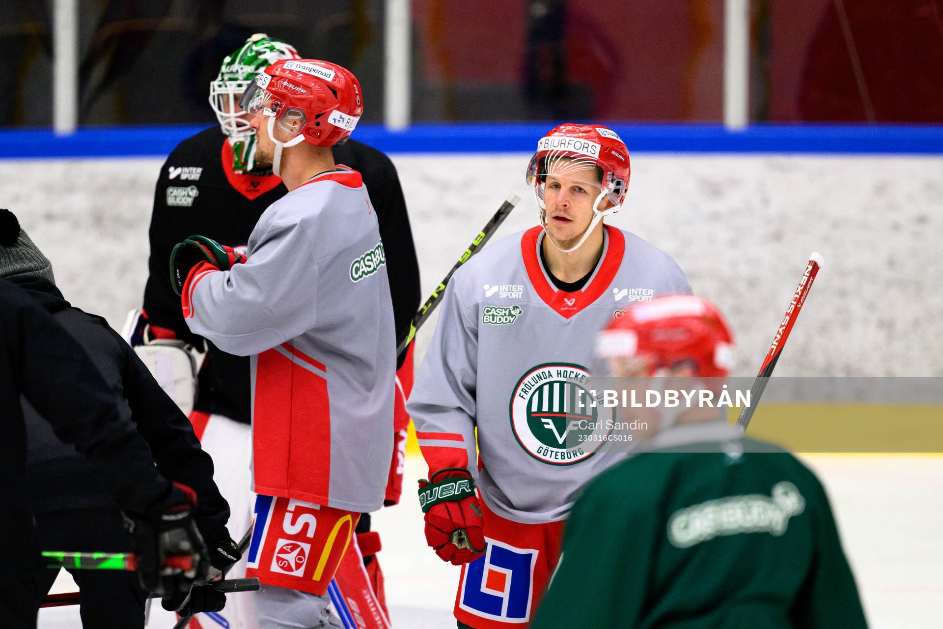 Max Friberg