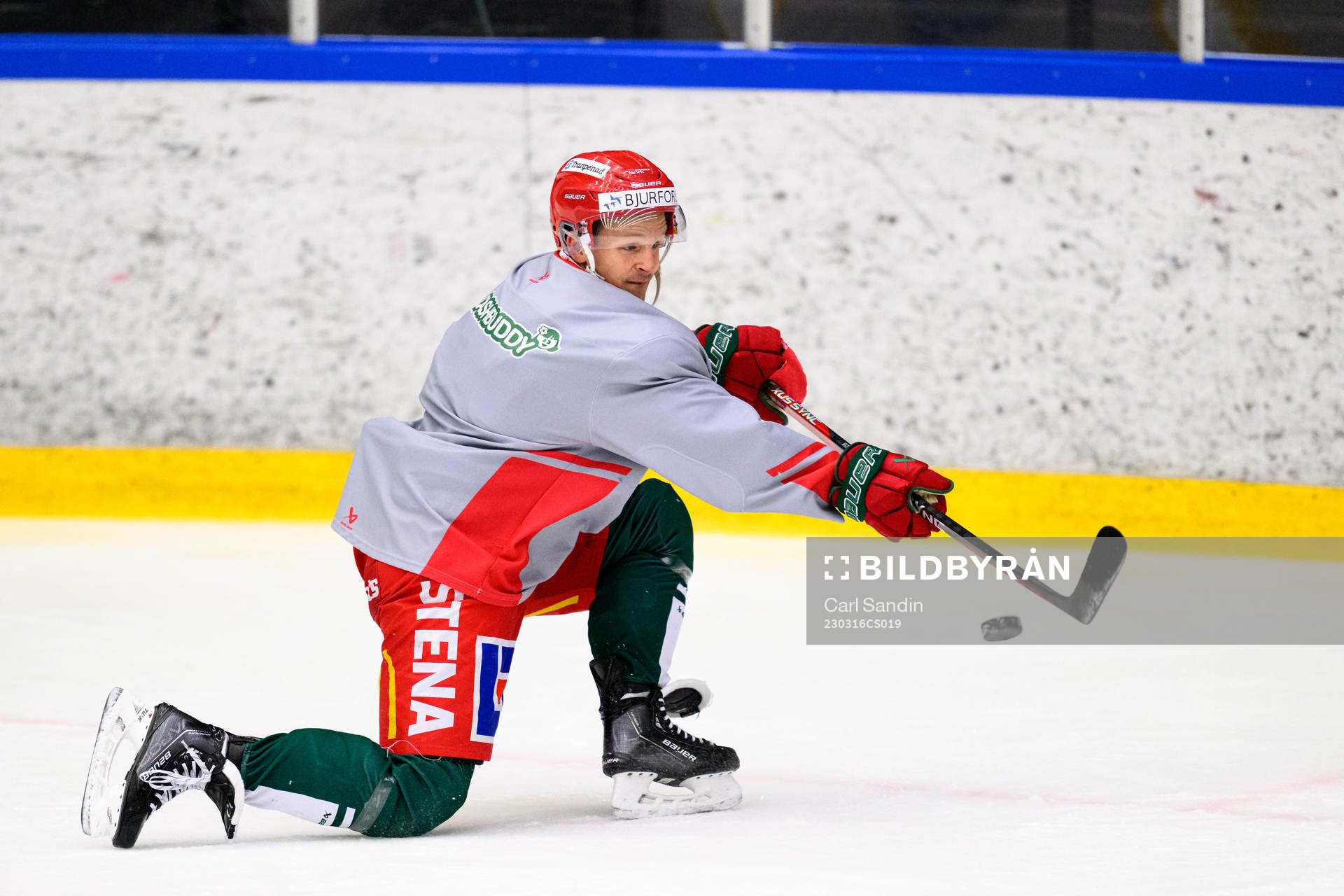 Max Friberg