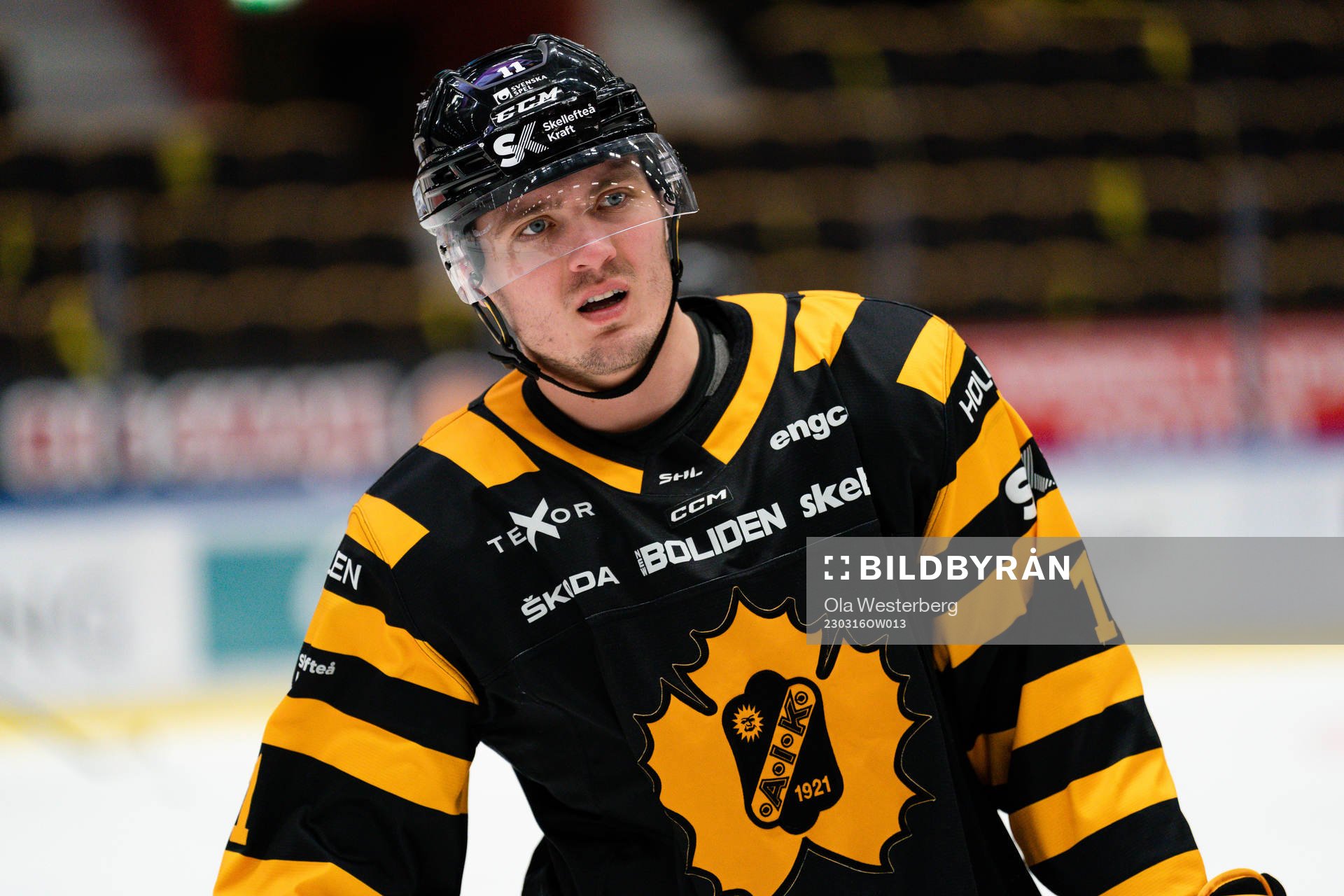 Skellefteå AIKs Max Lindholm