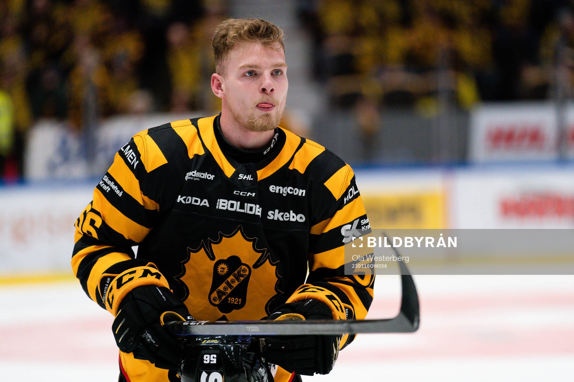 Skellefteå AIKs Anton Olsson