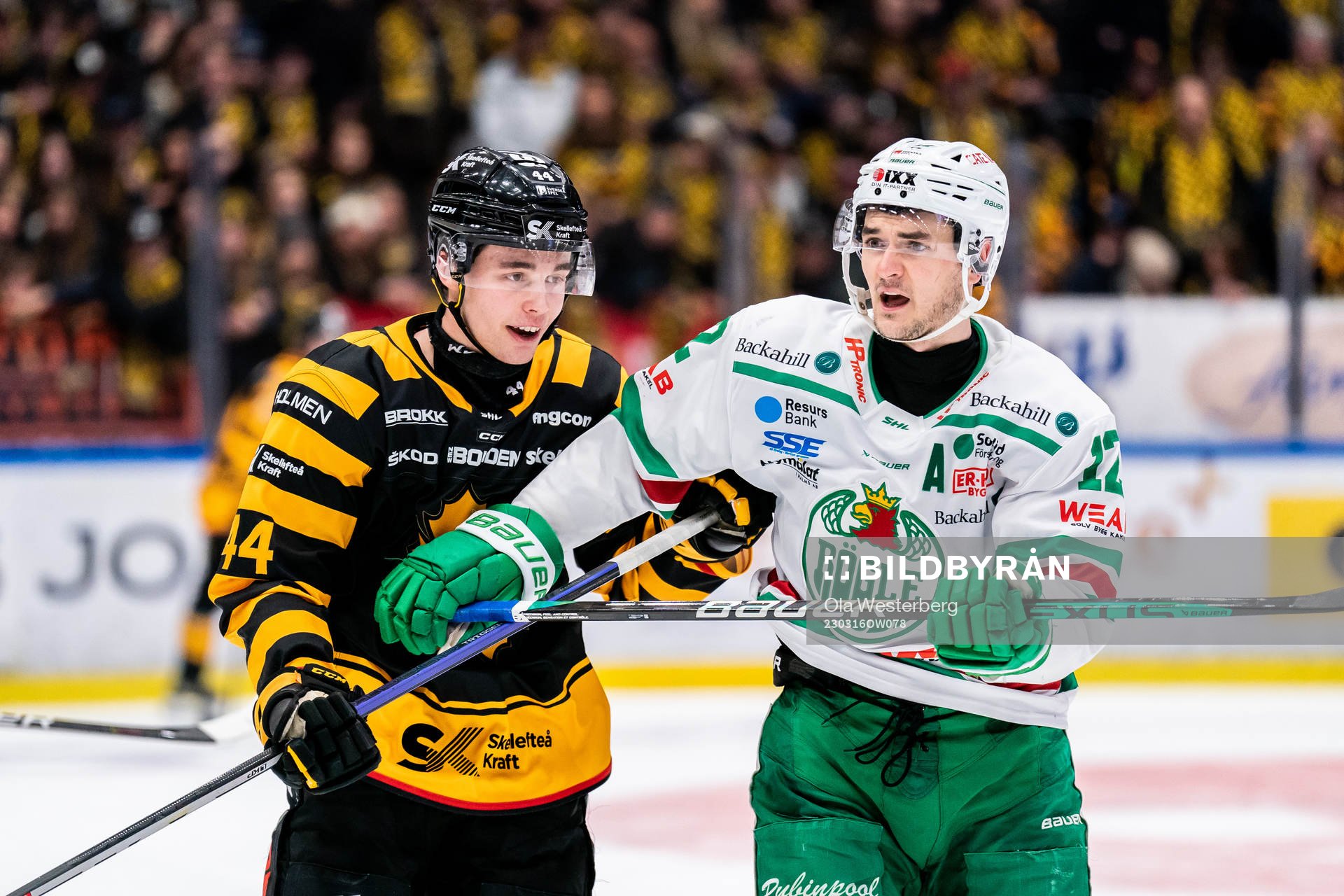 Skellefteå AIKs Elias Salomonsson och Rögles Brady