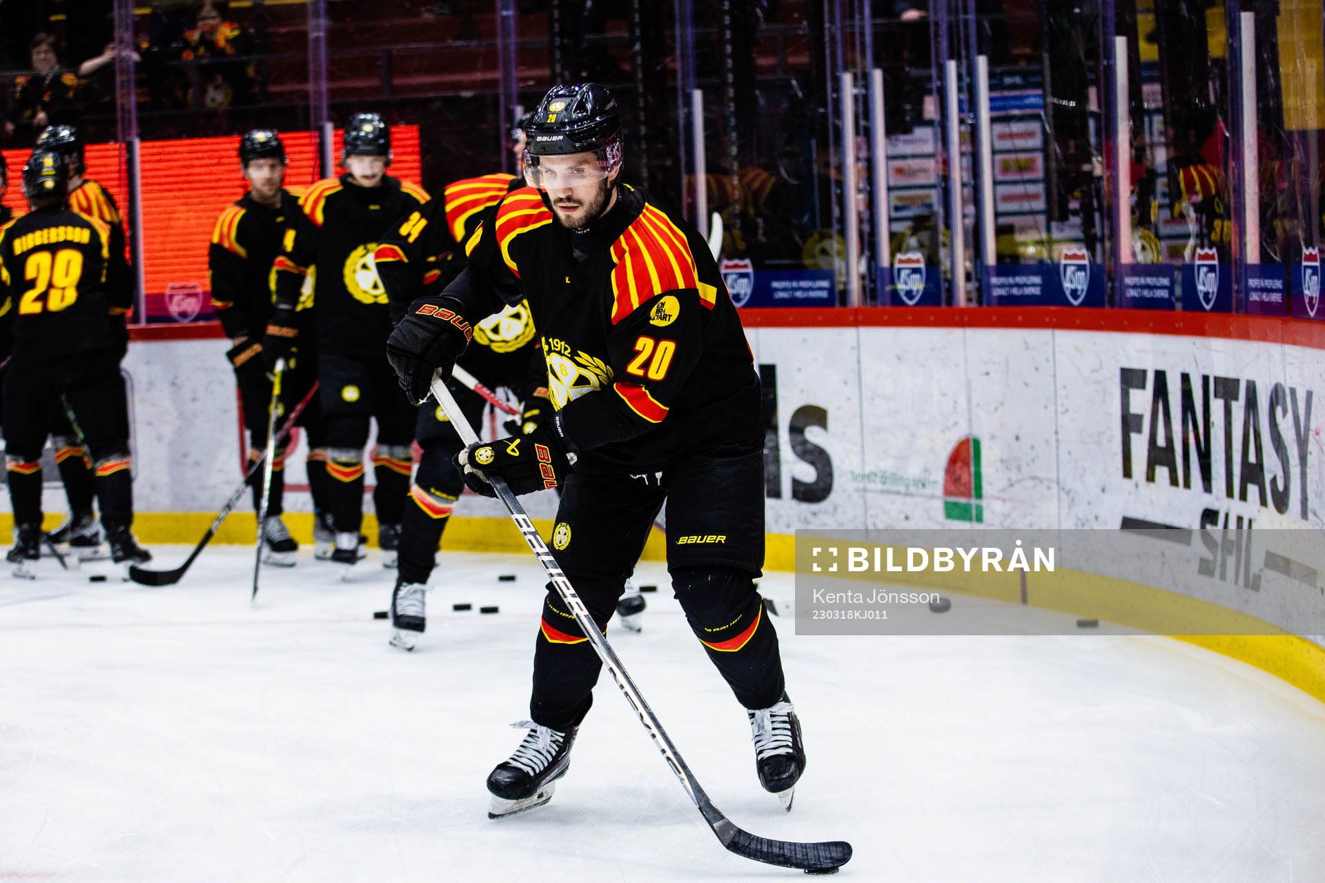 Brynäs Oula Palve