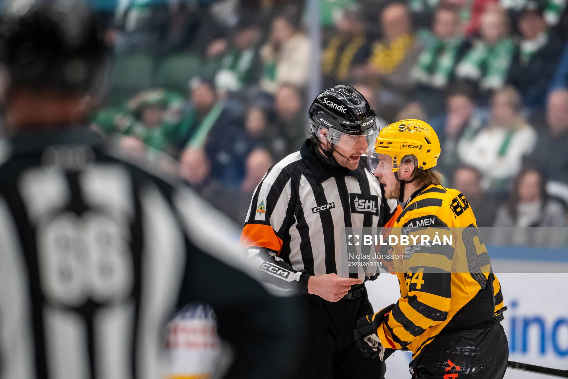 Domare Mikael Sjöqvist och Skellefteås Jonathan Pudas