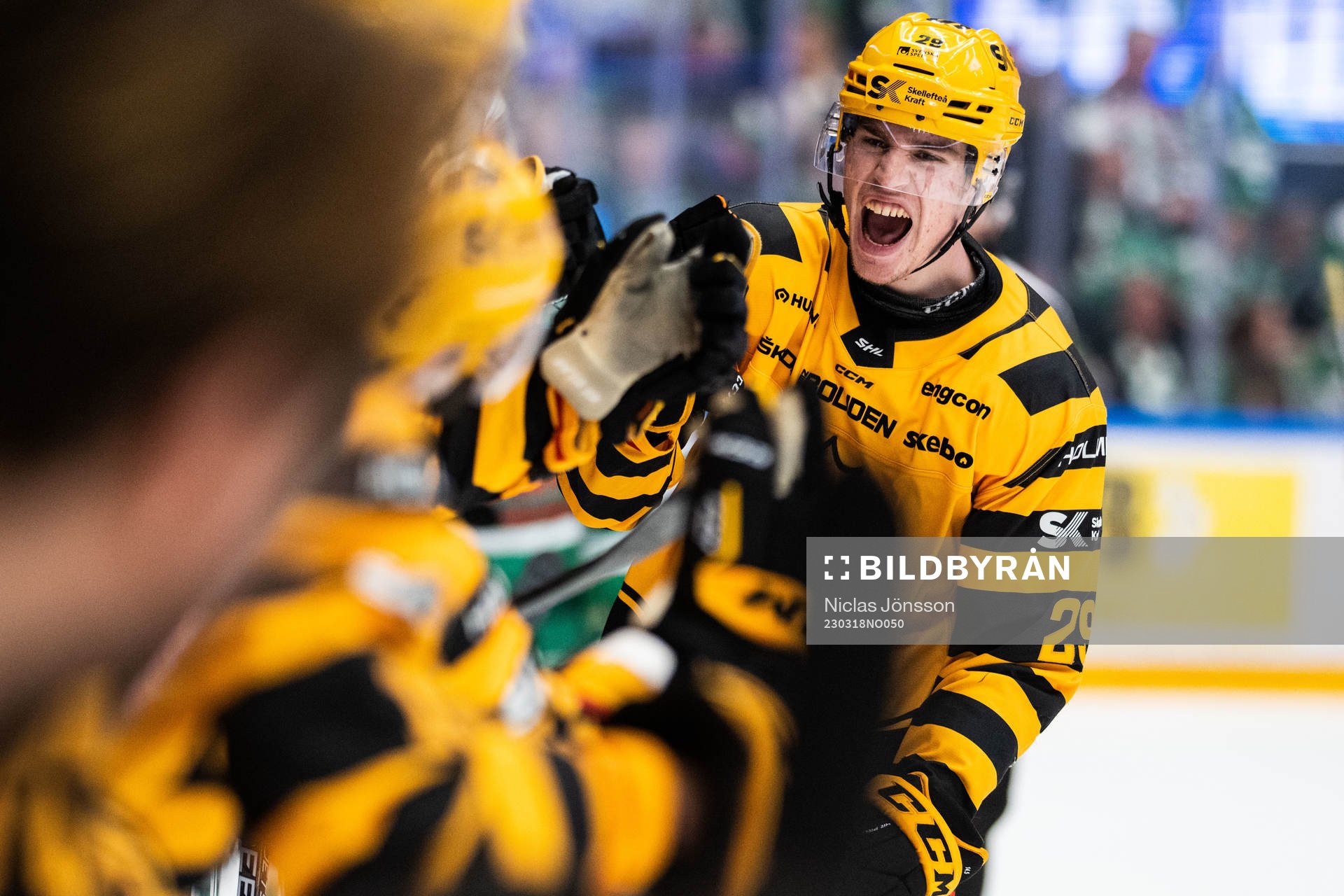 Skellefteås Albin Sundsvik jublar