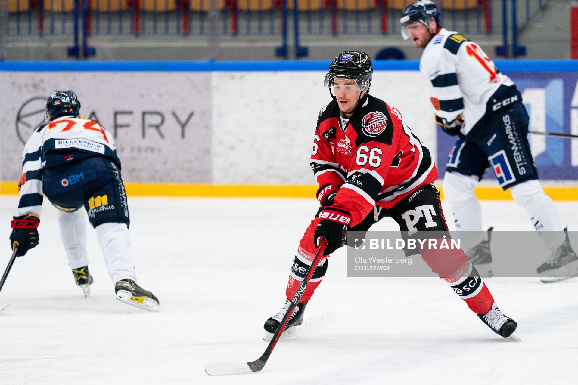 Piteås Tommy Wargh