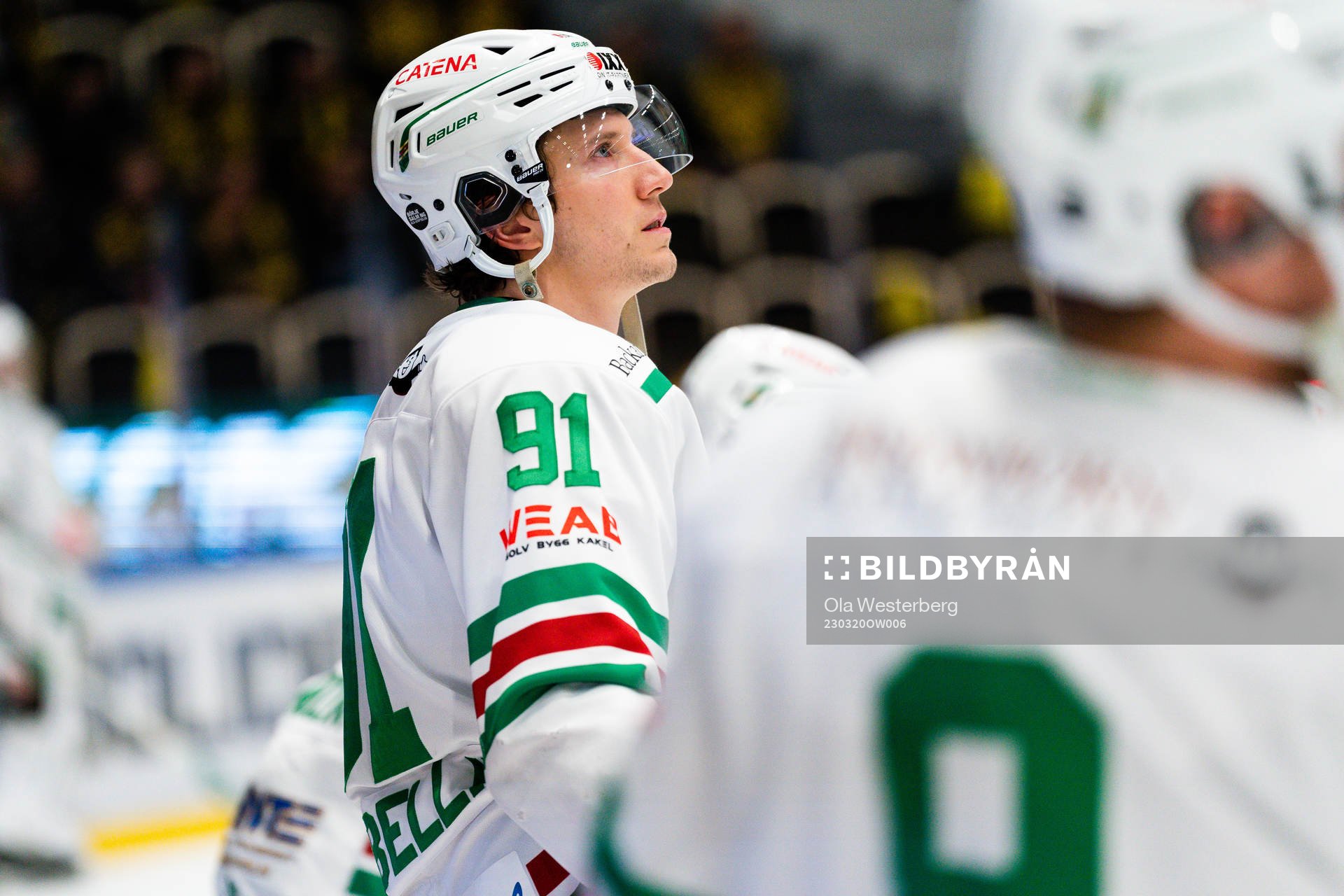 Rögles Adam Tambellini