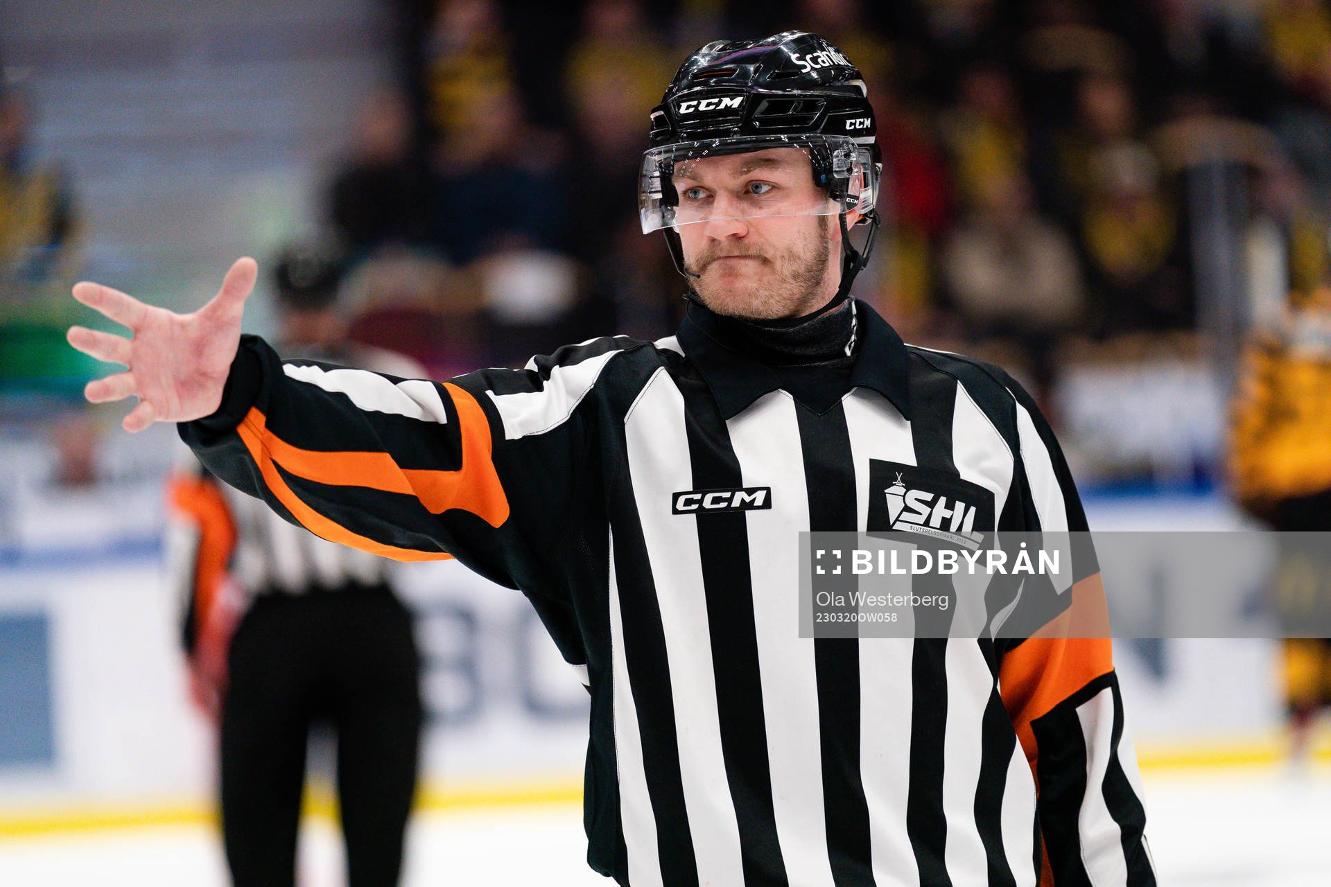 Domare Daniel Eriksson