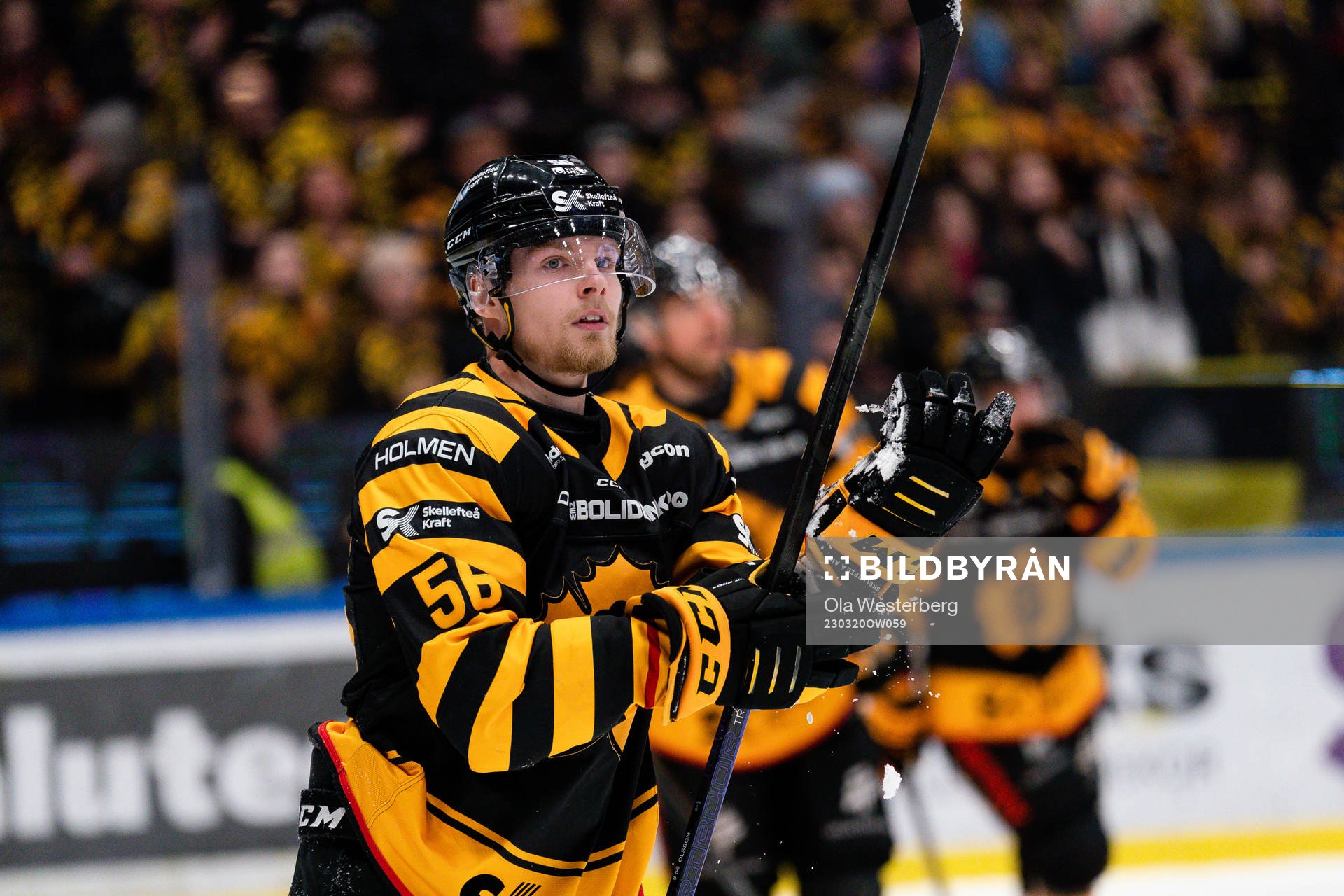 Skellefteå AIKs Anton Olsson