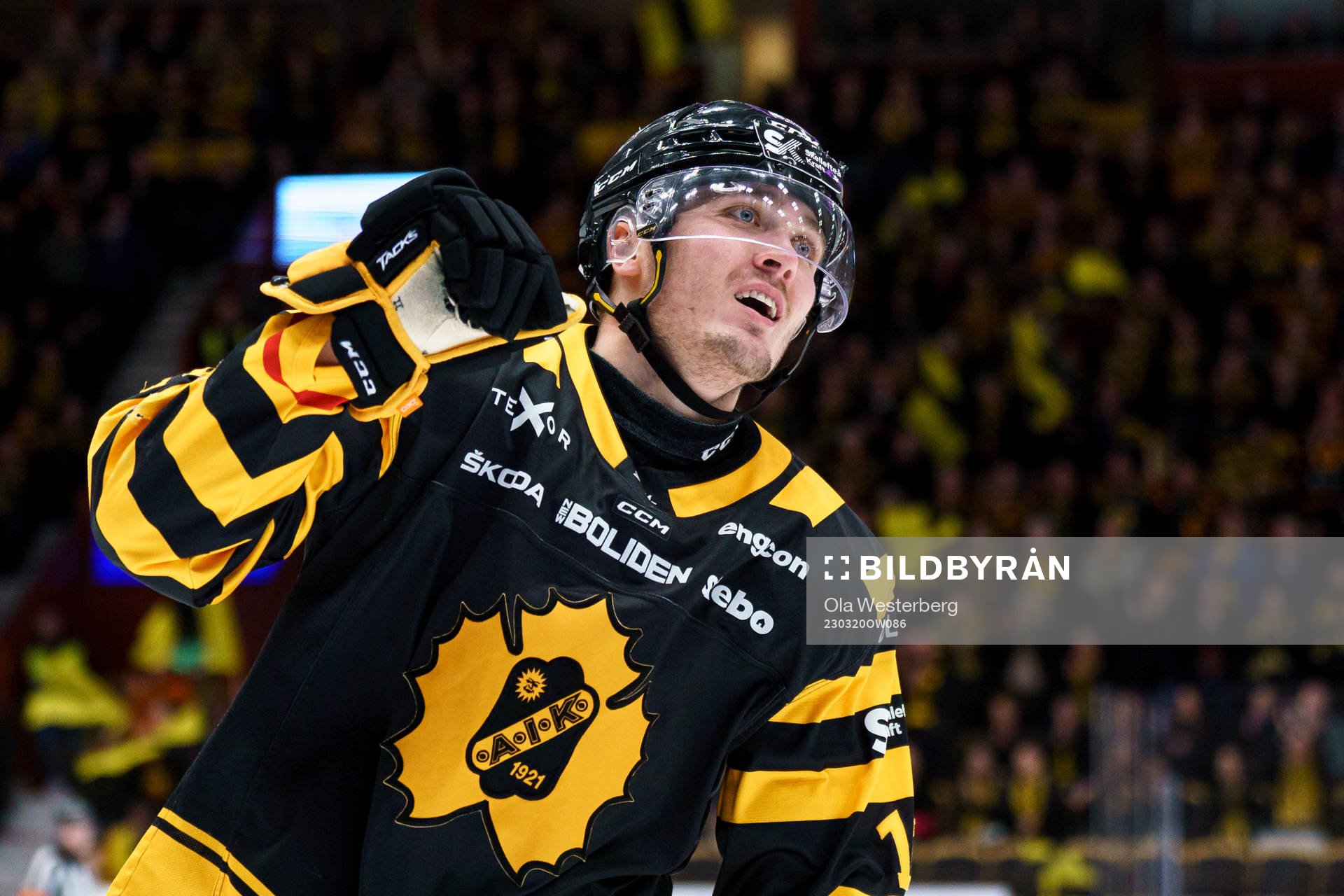 Skellefteås Max Lindholm jublar