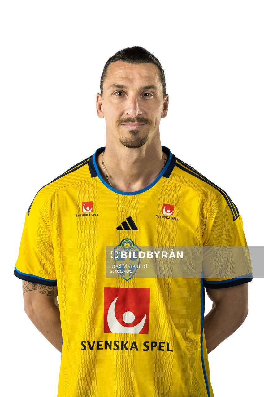 Zlatan Ibrahimovic of the Swedish national football team