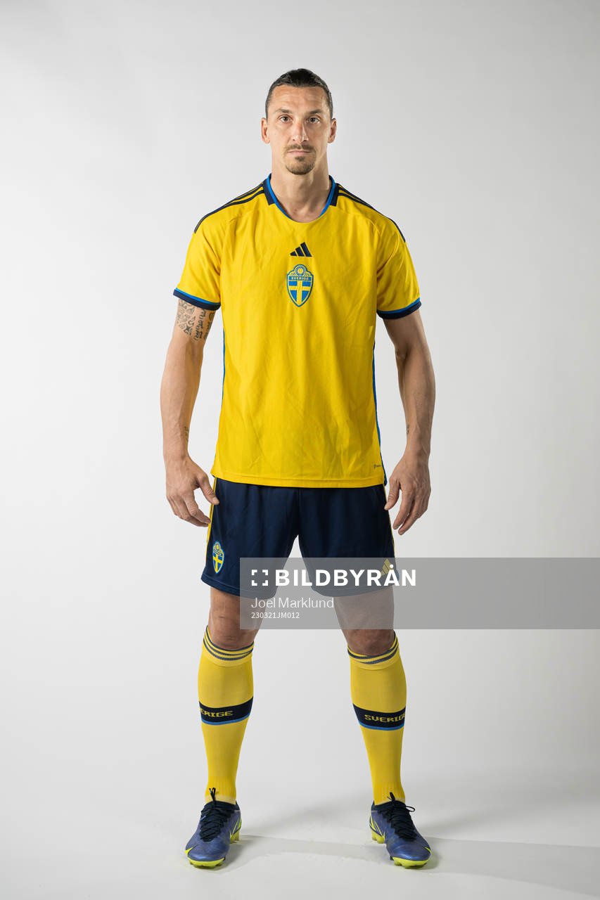 Zlatan Ibrahimovic of the Swedish national football team