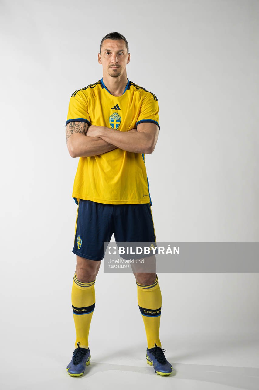 Zlatan Ibrahimovic of the Swedish national football team