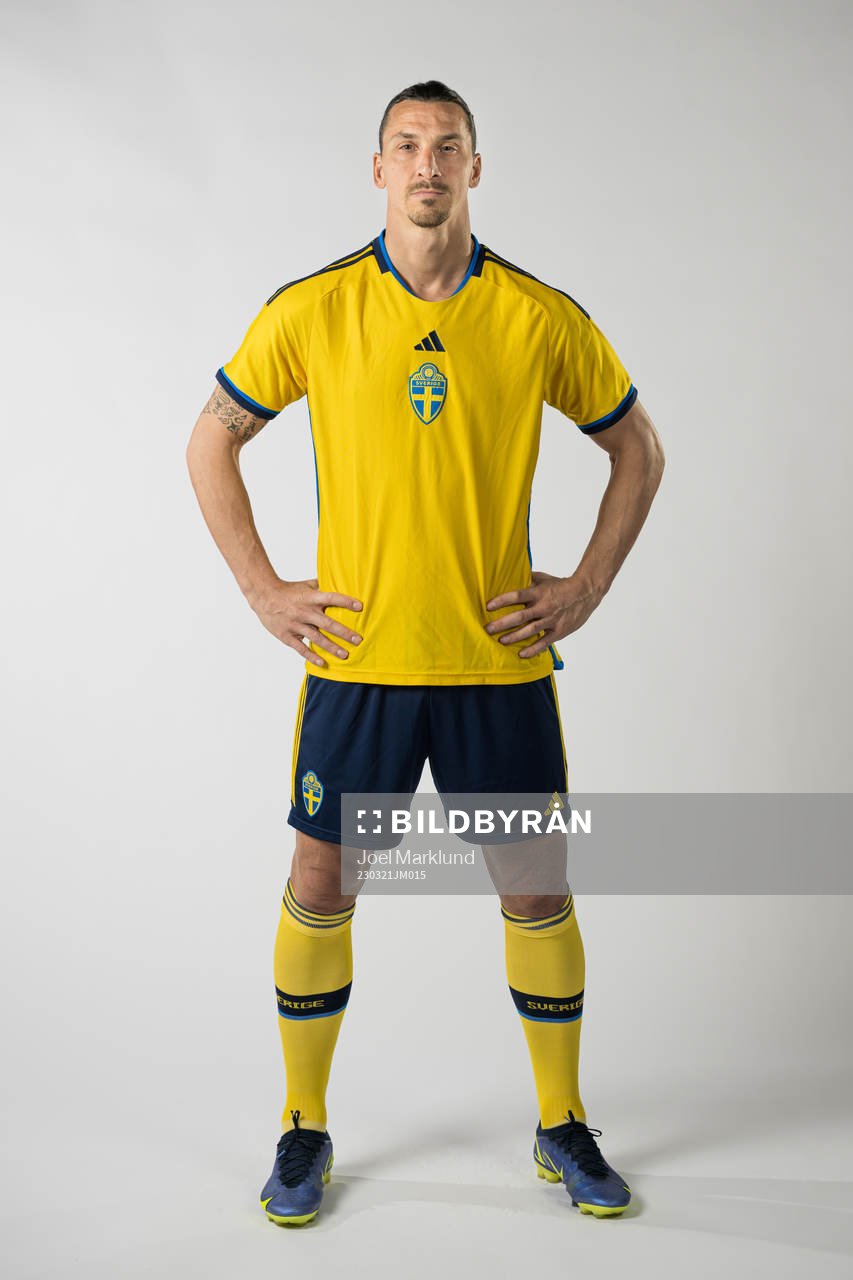 Zlatan Ibrahimovic of the Swedish national football team