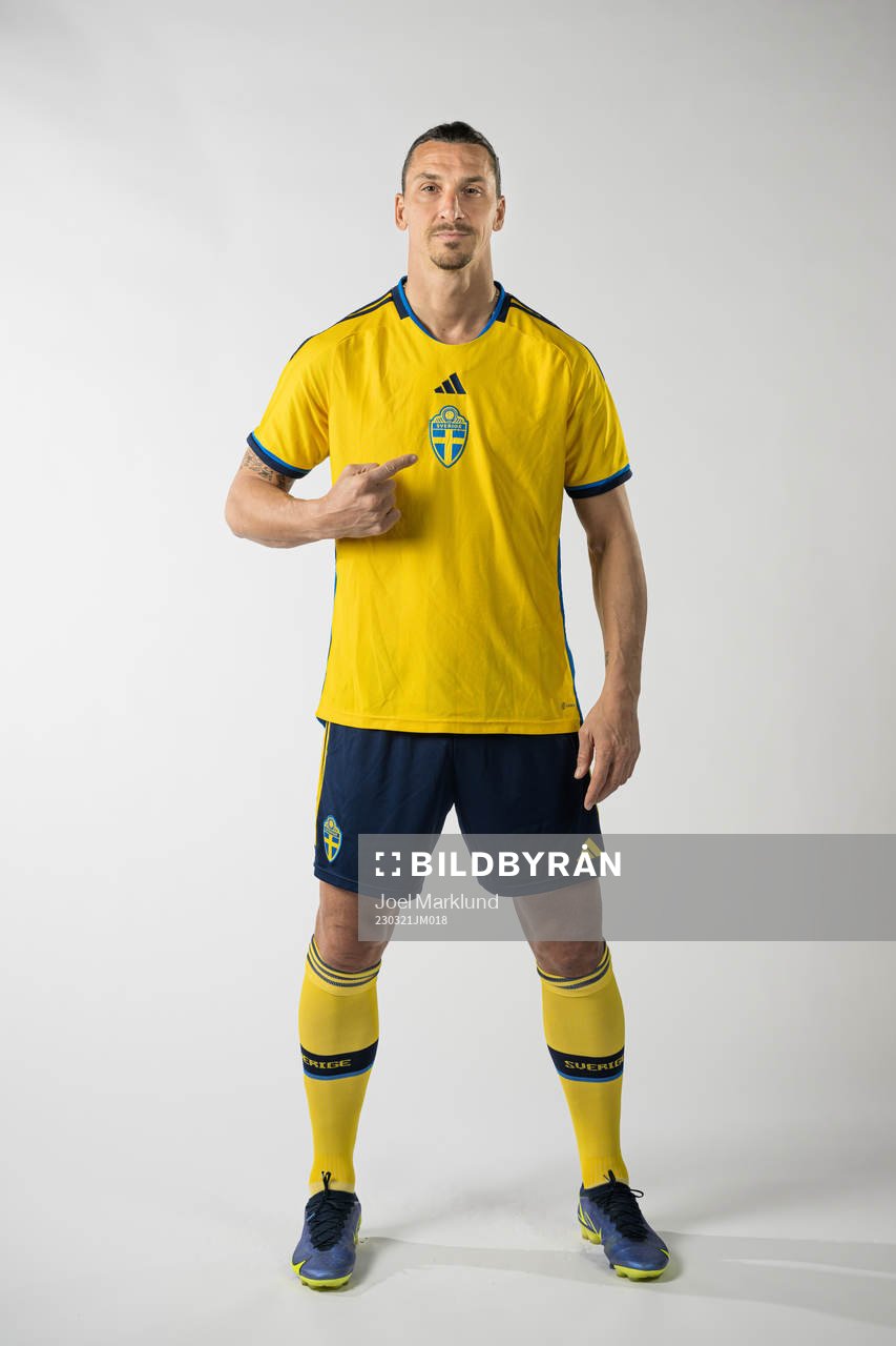 Zlatan Ibrahimovic of the Swedish national football team