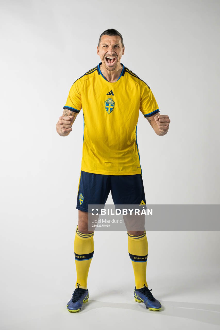 Zlatan Ibrahimovic of the Swedish national football team