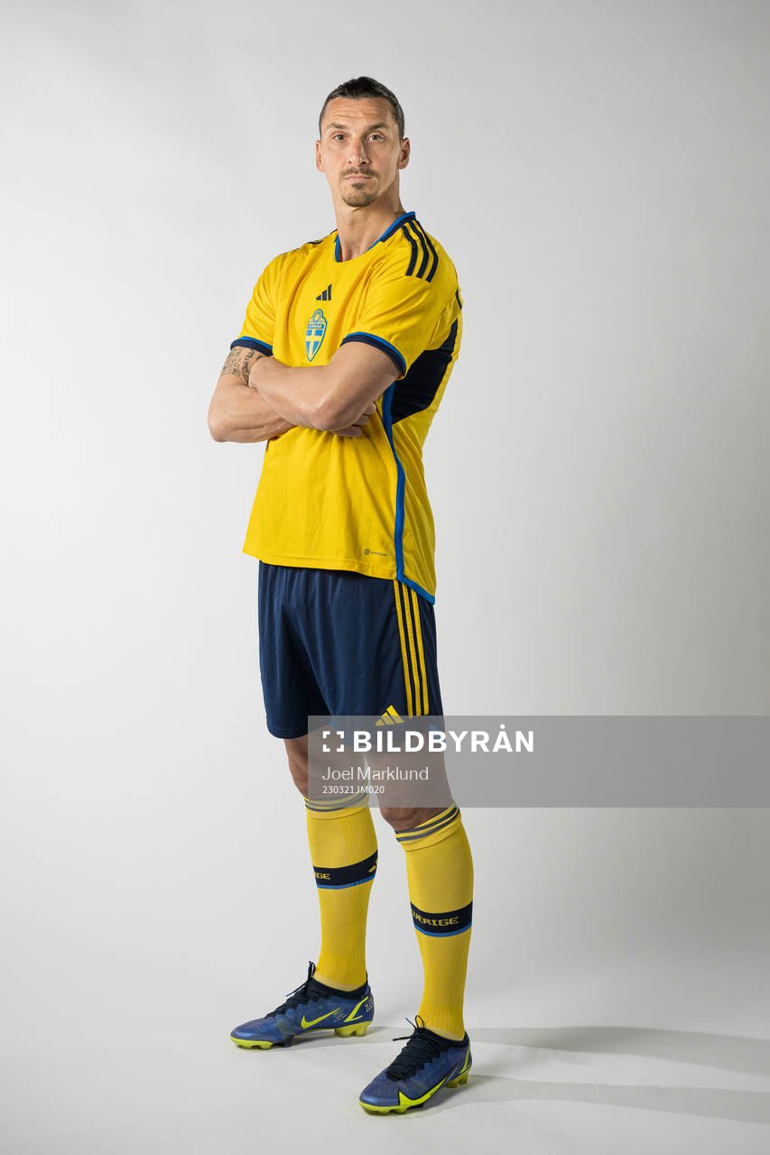 Zlatan Ibrahimovic of the Swedish national football team