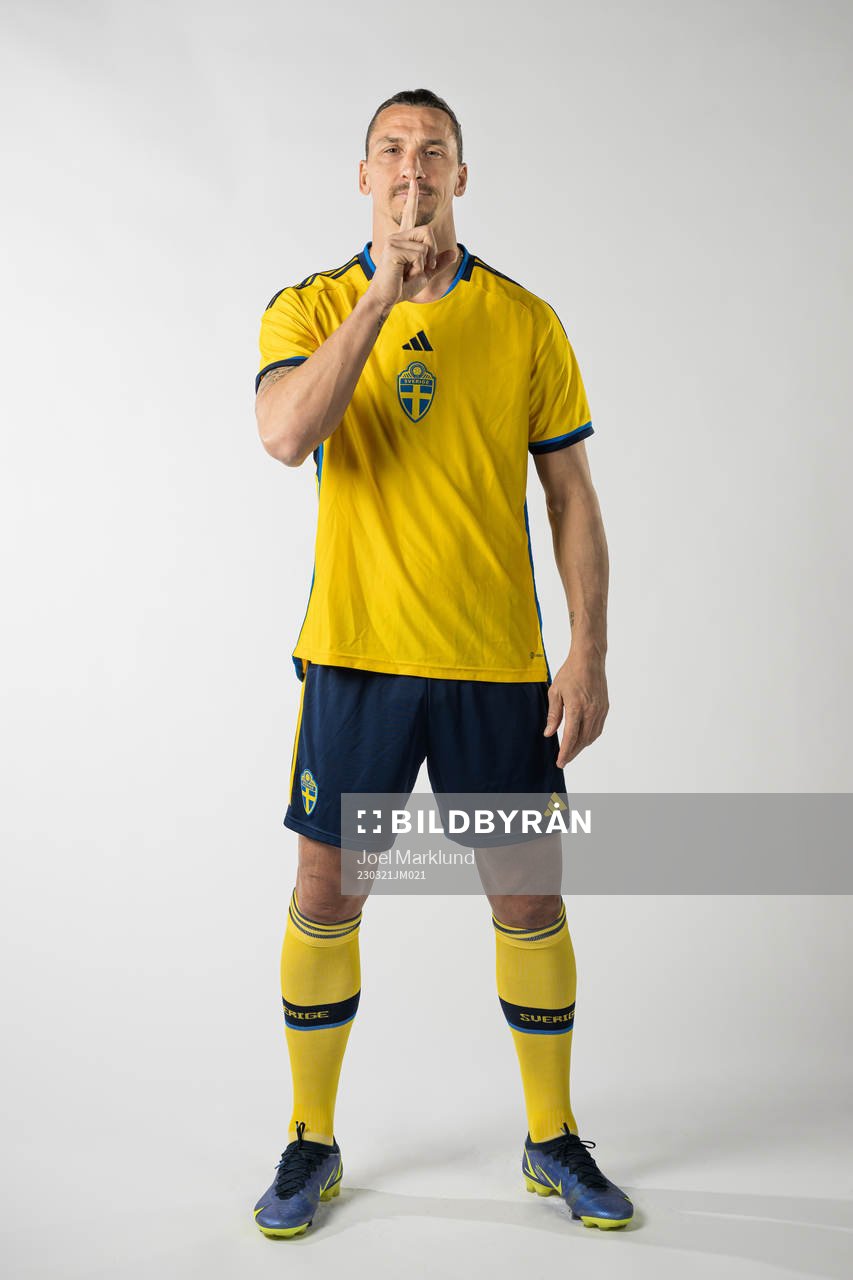 Zlatan Ibrahimovic of the Swedish national football team
