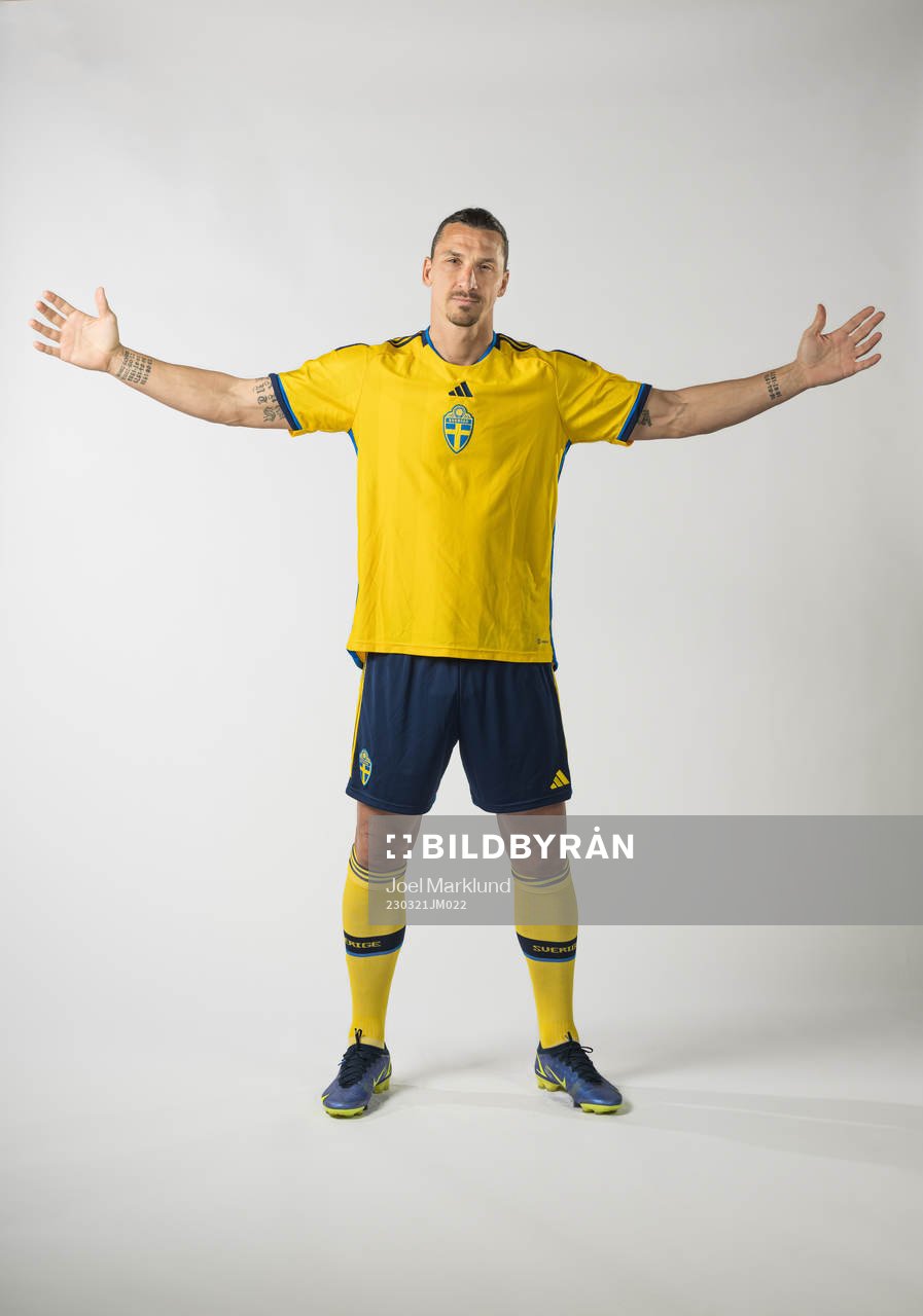 Zlatan Ibrahimovic of the Swedish national football team