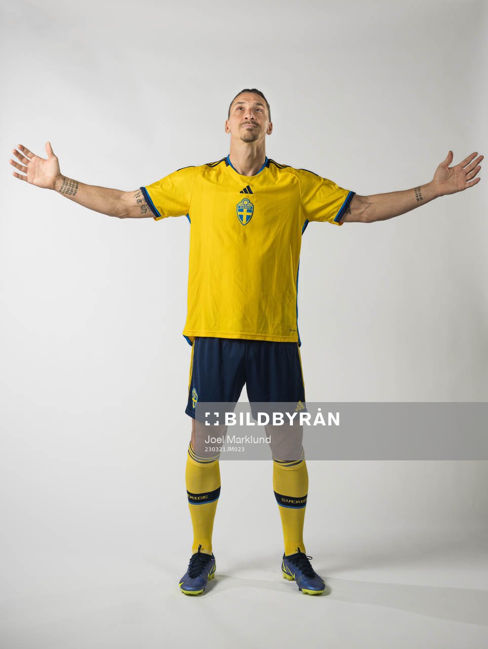 Zlatan Ibrahimovic of the Swedish national football team