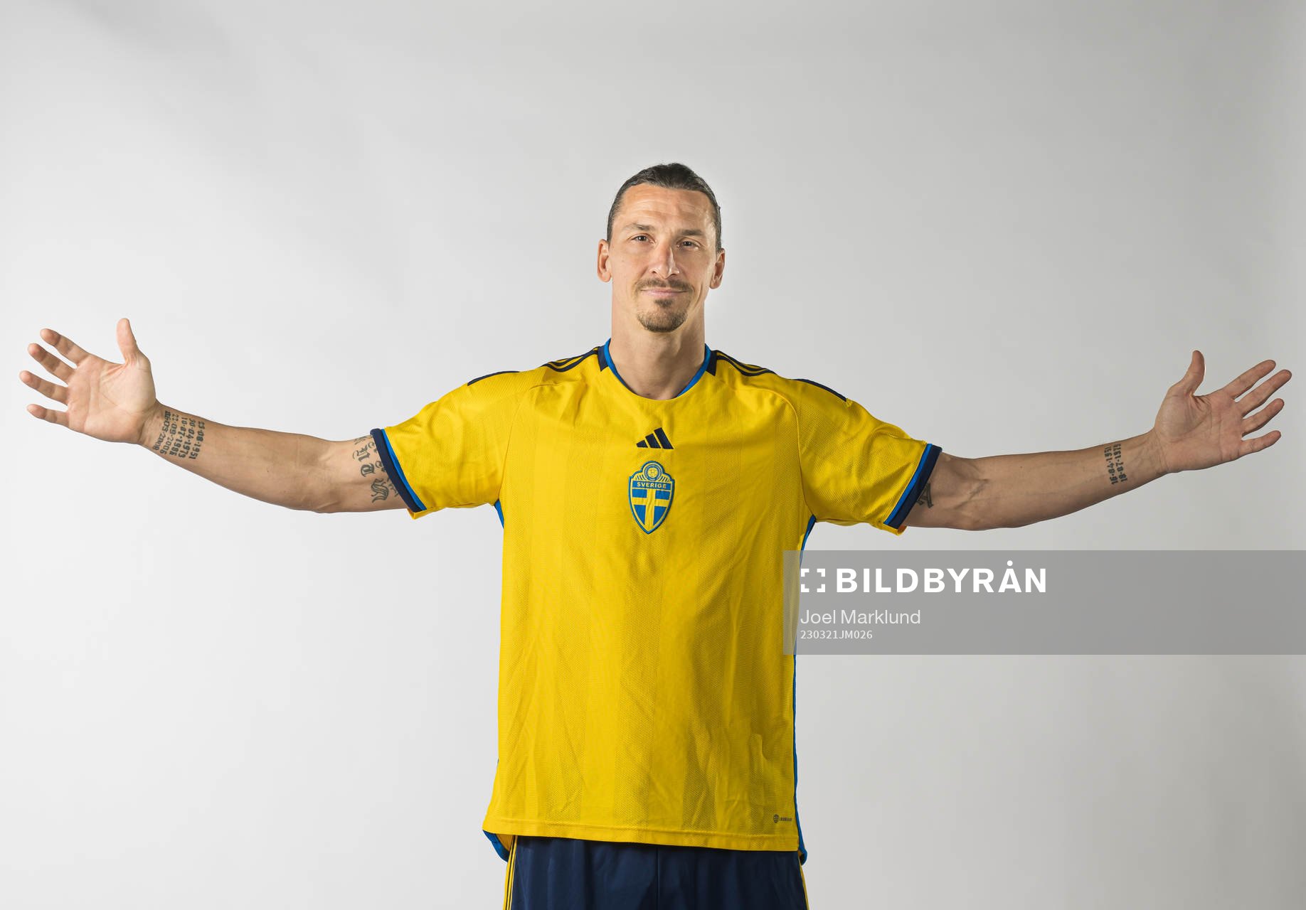 Zlatan Ibrahimovic of the Swedish national football team