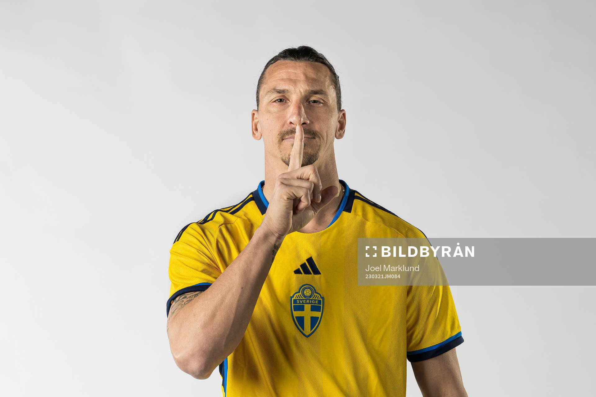 Zlatan Ibrahimovic of the Swedish national football team